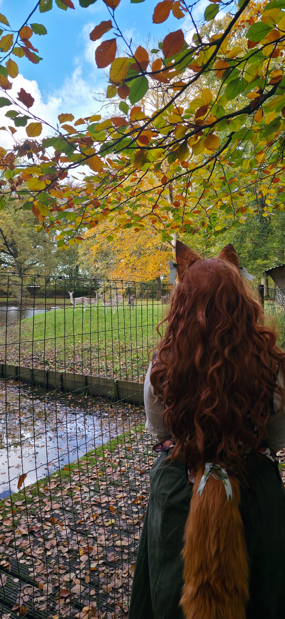 Fall shoot 2025 - Photo 7