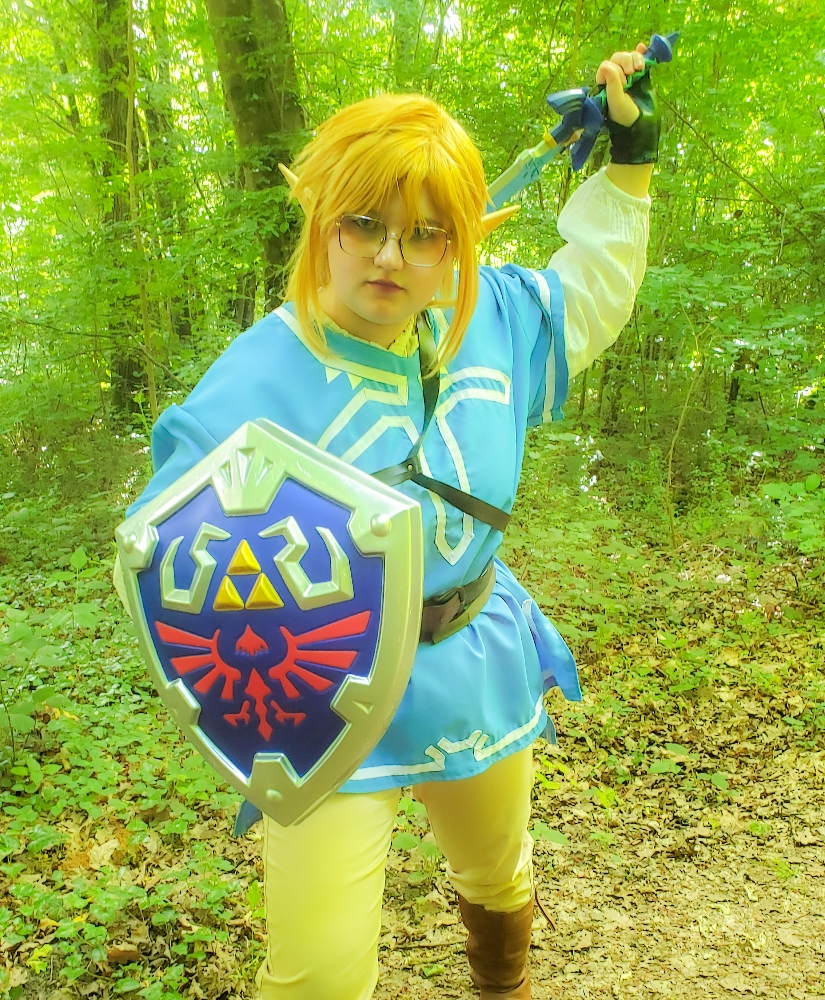 Link — photo 5