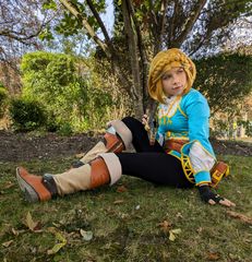 Zelda preview 3