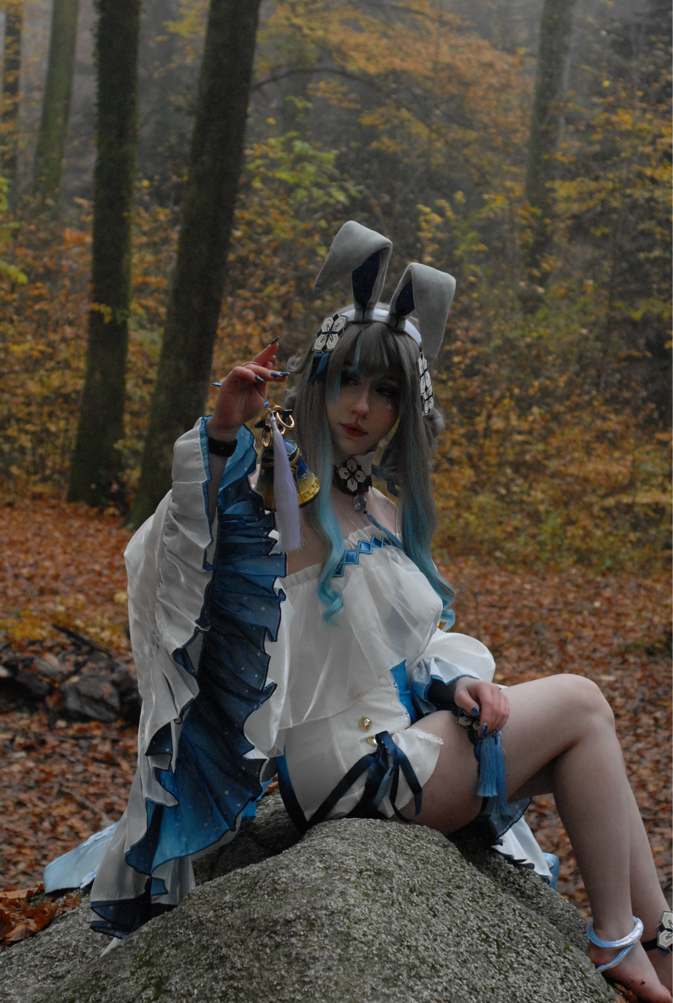 Guizhong Bunny - Photo 15