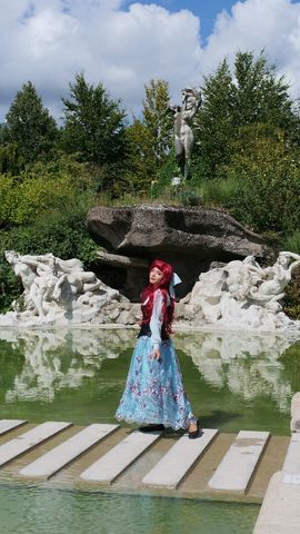Ariel