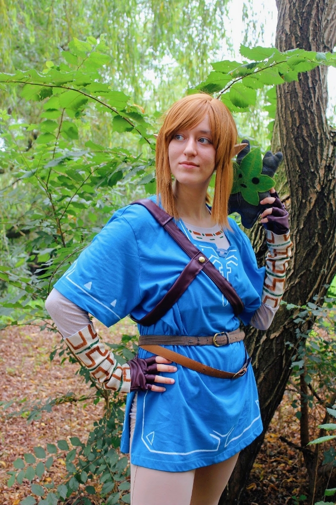 Link (Botw) - Photo 15