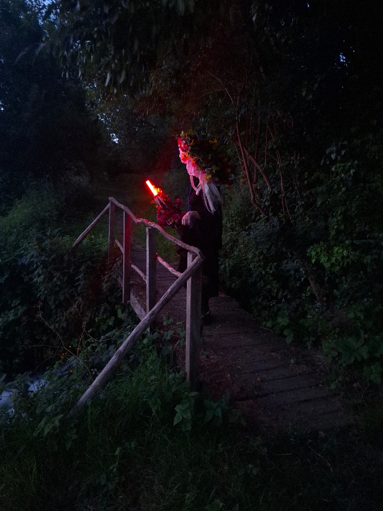 Aerys de Kaosrya - Photo 10