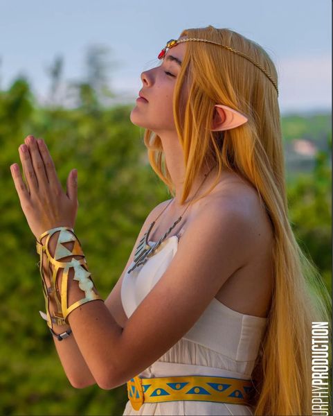 Haydio - Zelda - Zelda BOTW