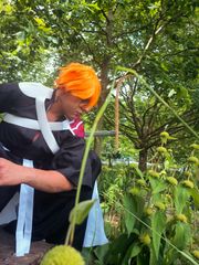 Ichigo preview 3