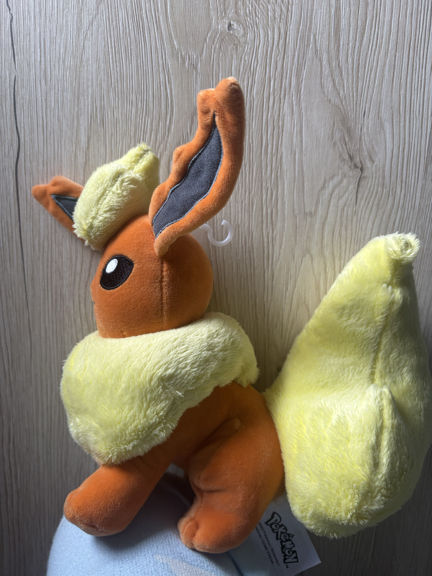 Evoli en Pyroli  - Photo 13