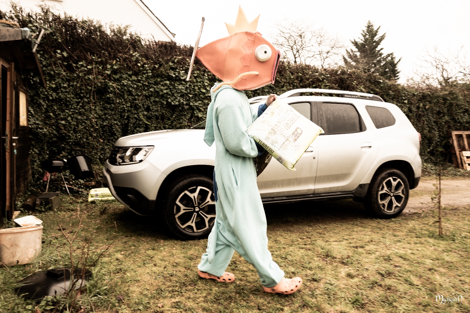 La plantation  - Photo 15