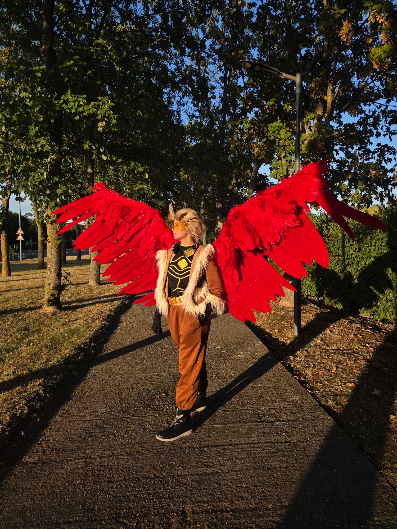 Hawks — photo 196