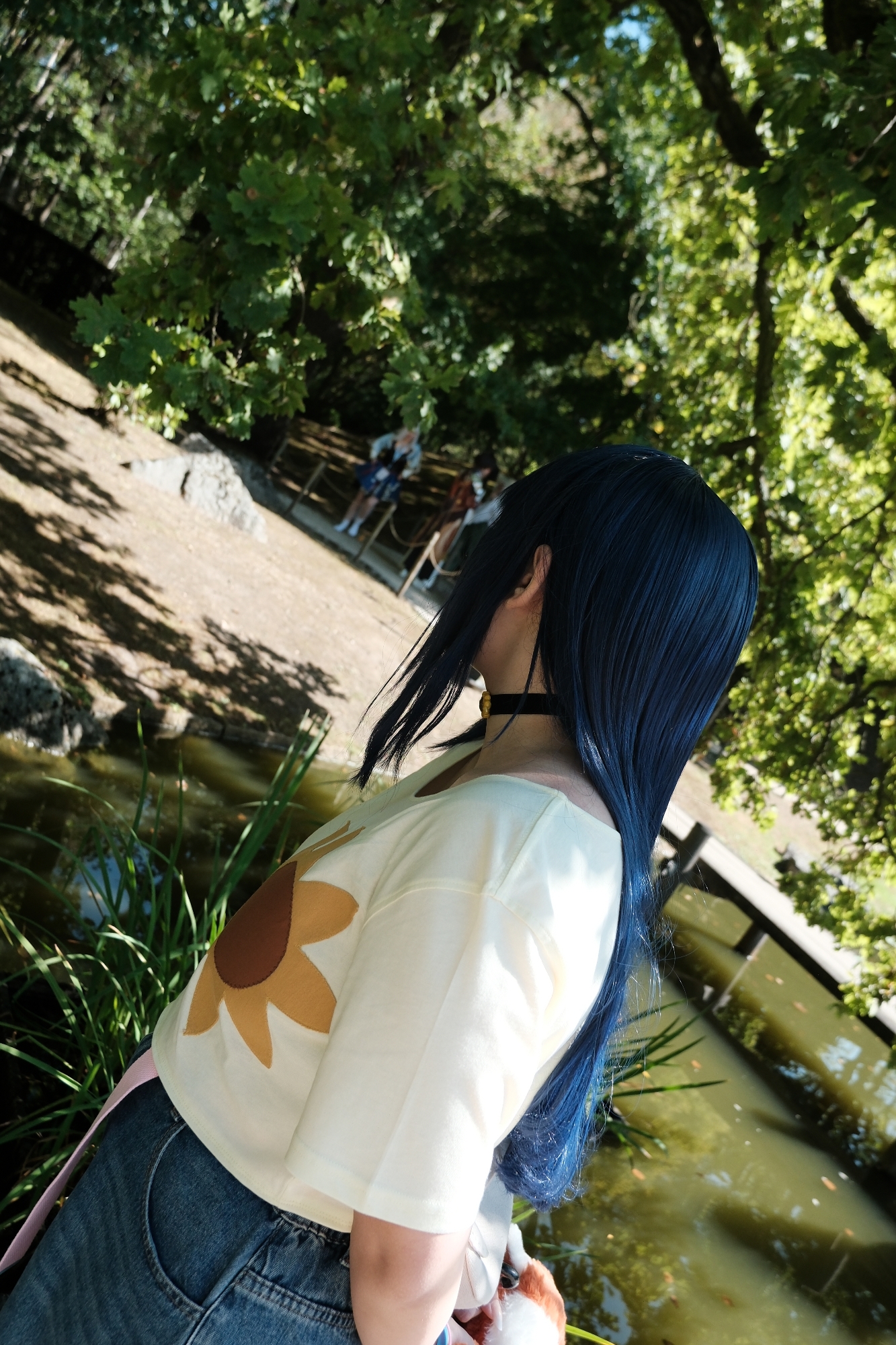 Himawari  - Photo 48