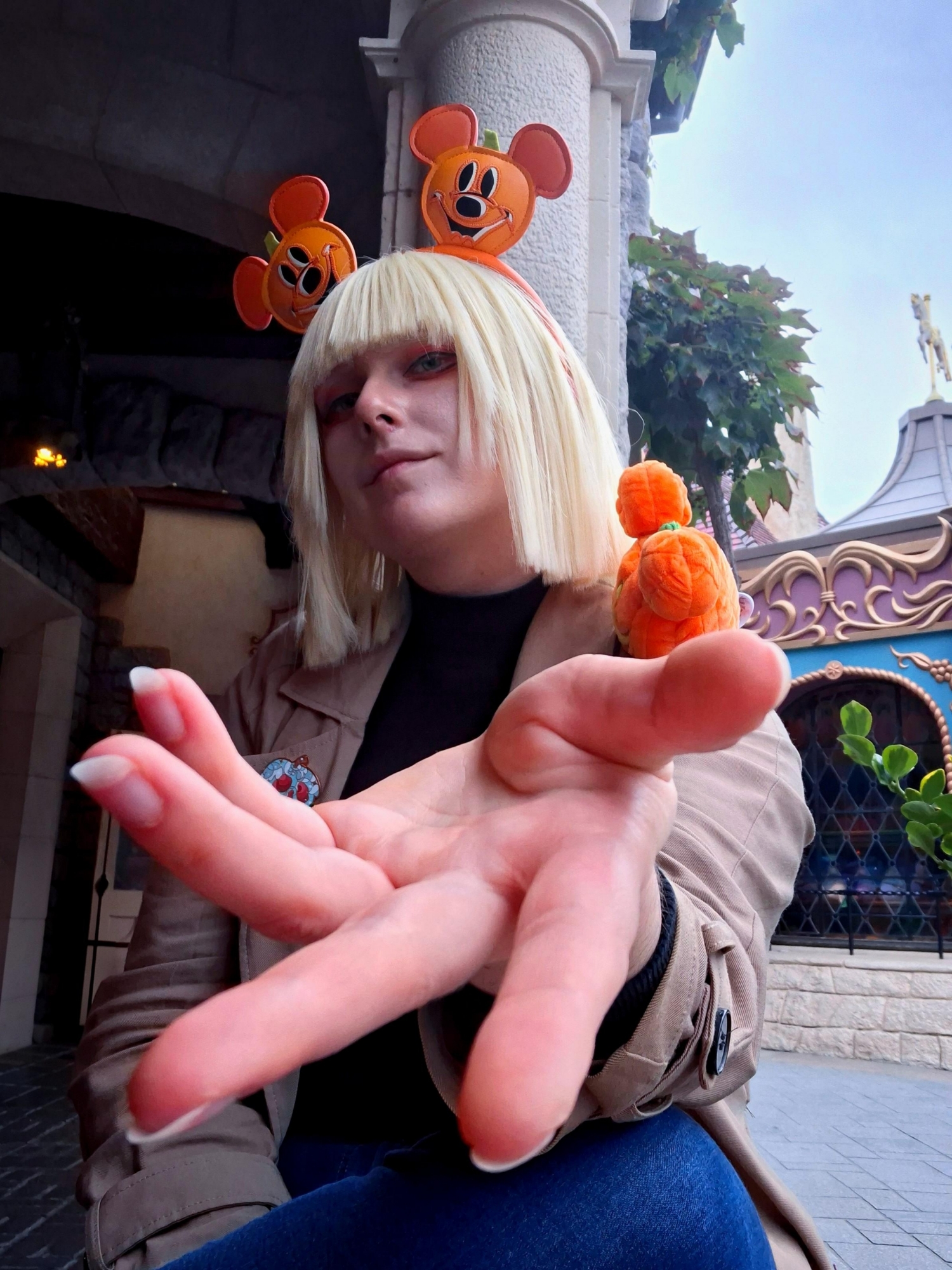 Rook at disneyland, photo 11