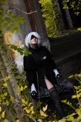 2b Nier Automata preview 2