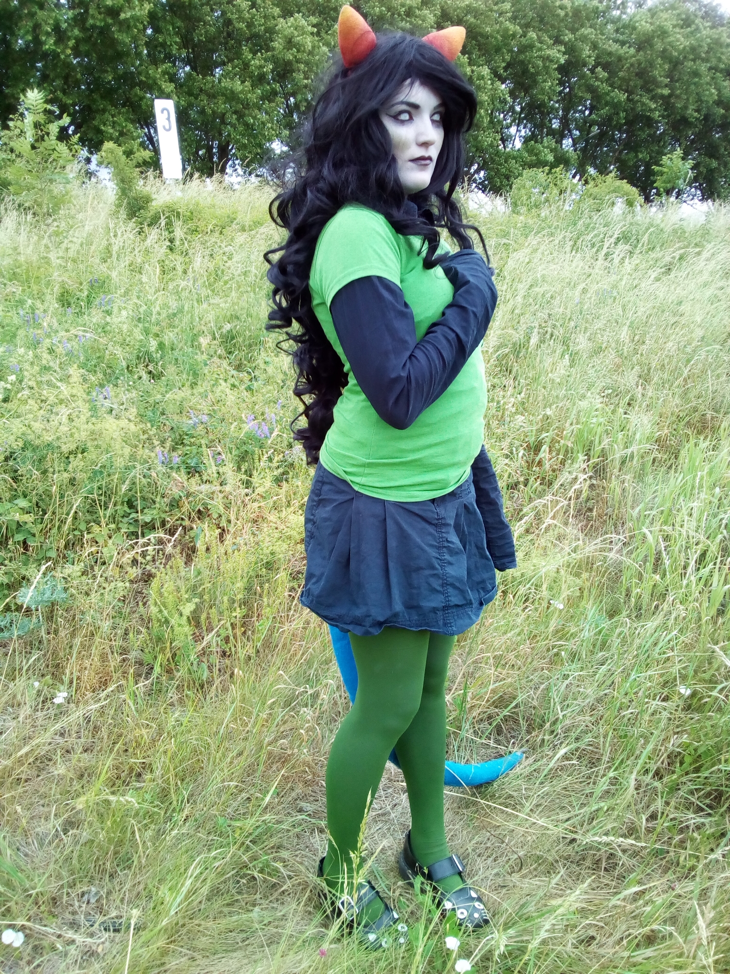 Meulin Leijon — photo 21