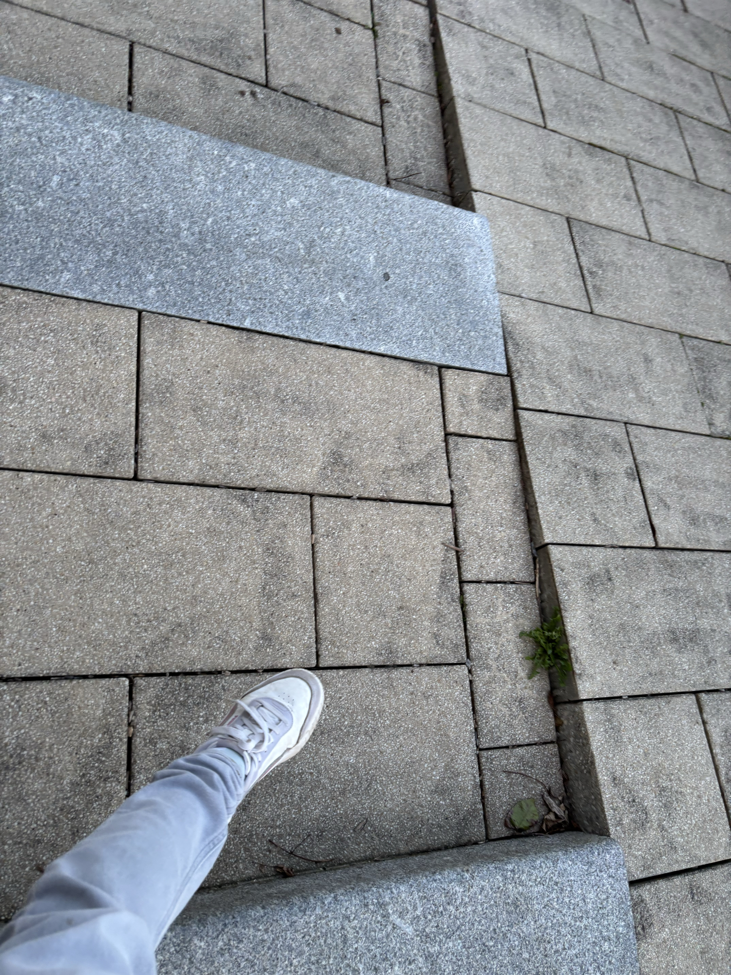 Miyo — photo 34