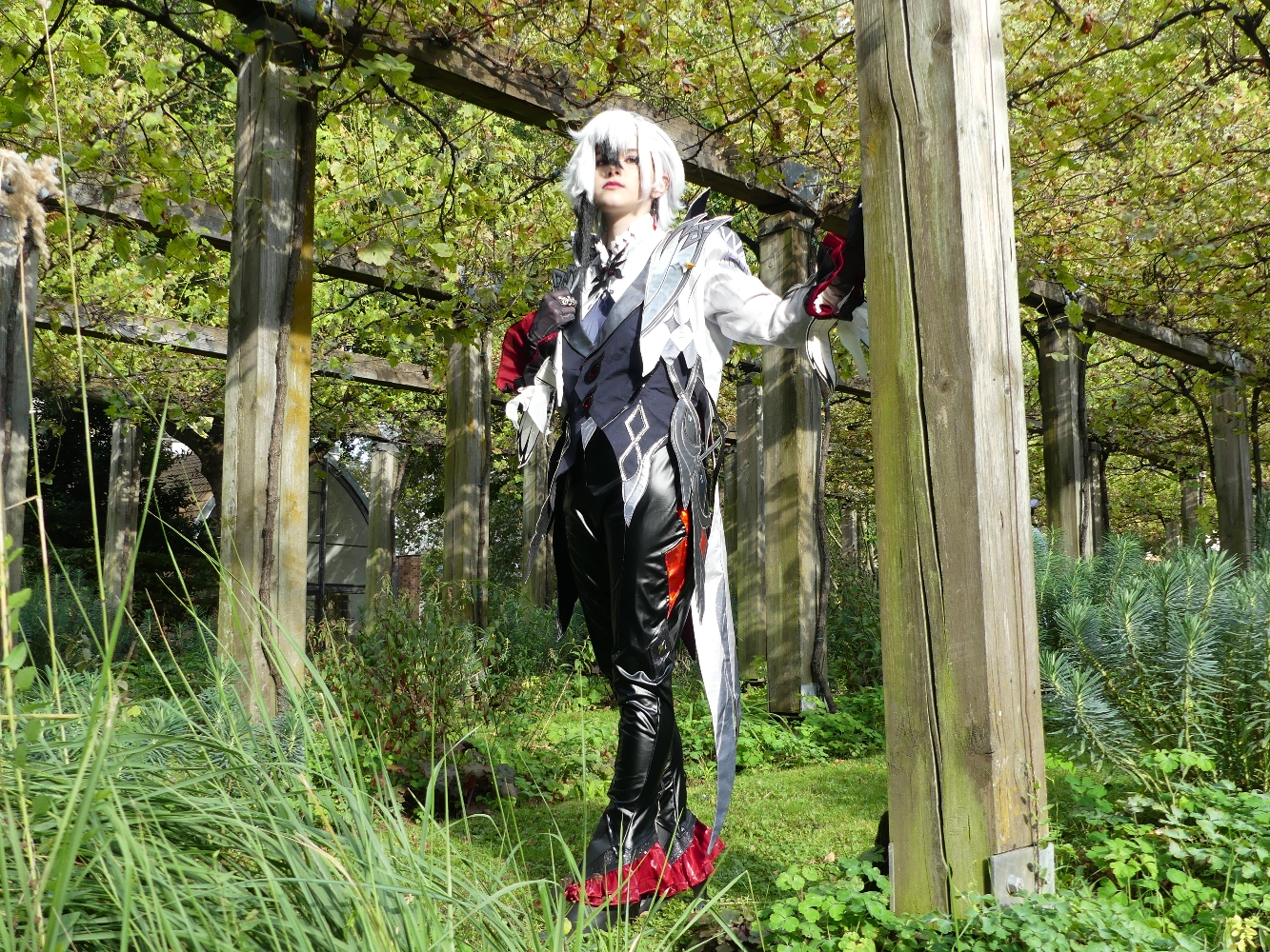 Arlecchino - Photo 5