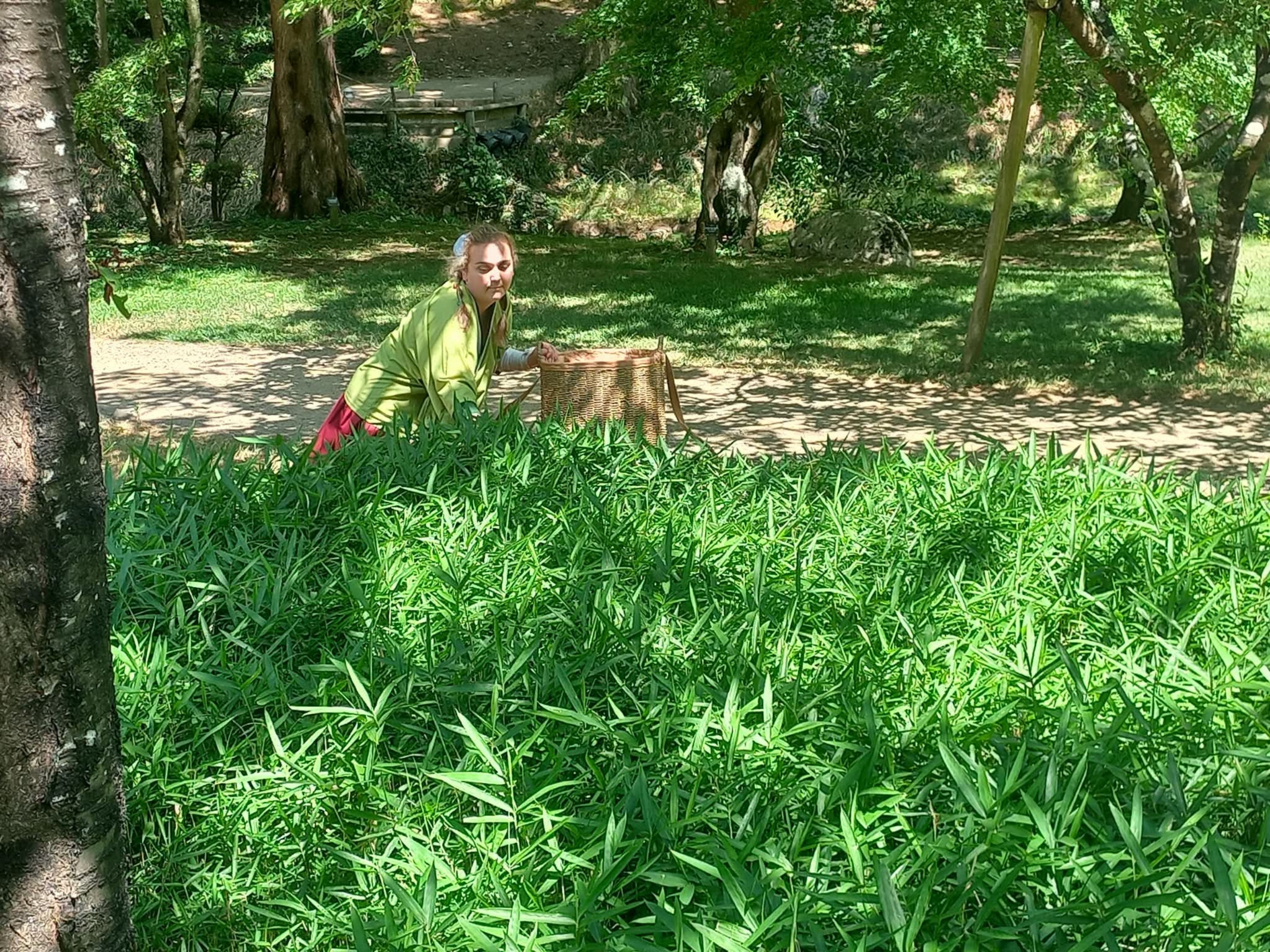 Shooting a la kamipl — photo 68