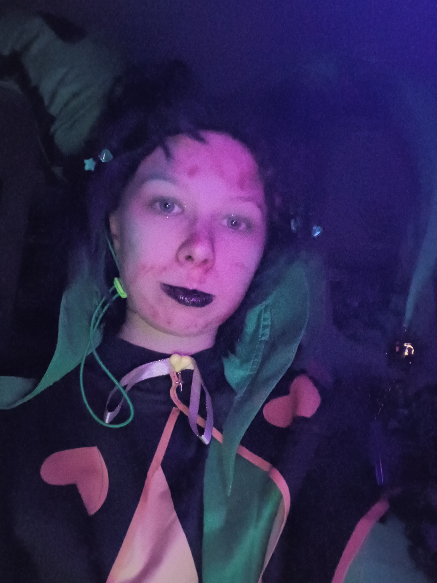 Harlequin, photo 9