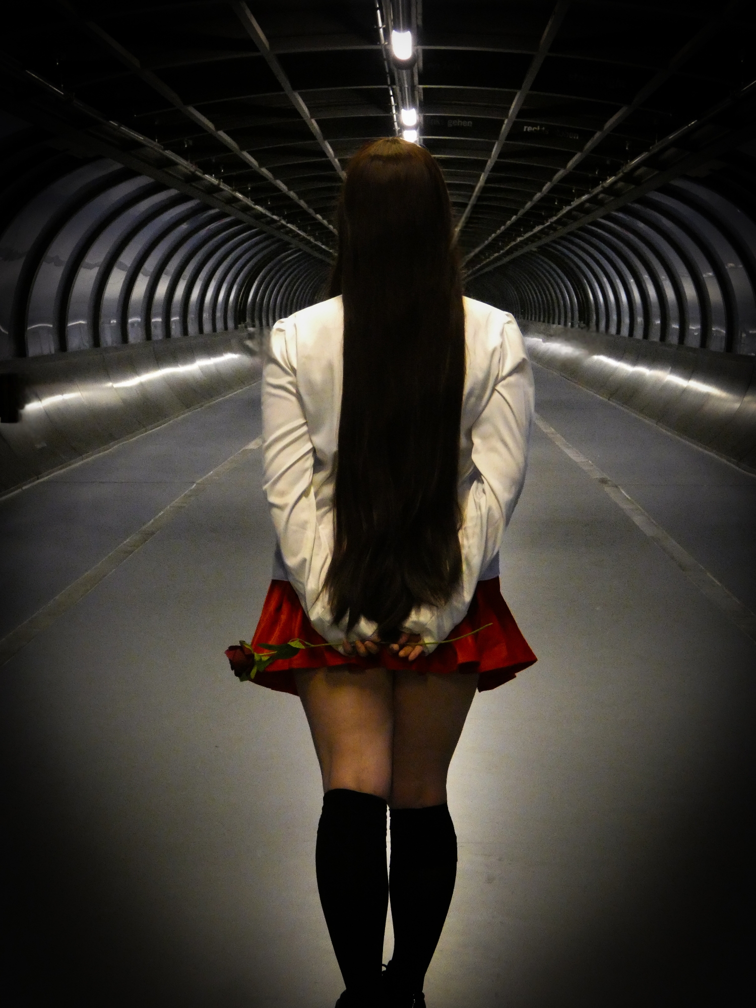 Ib — photo 9