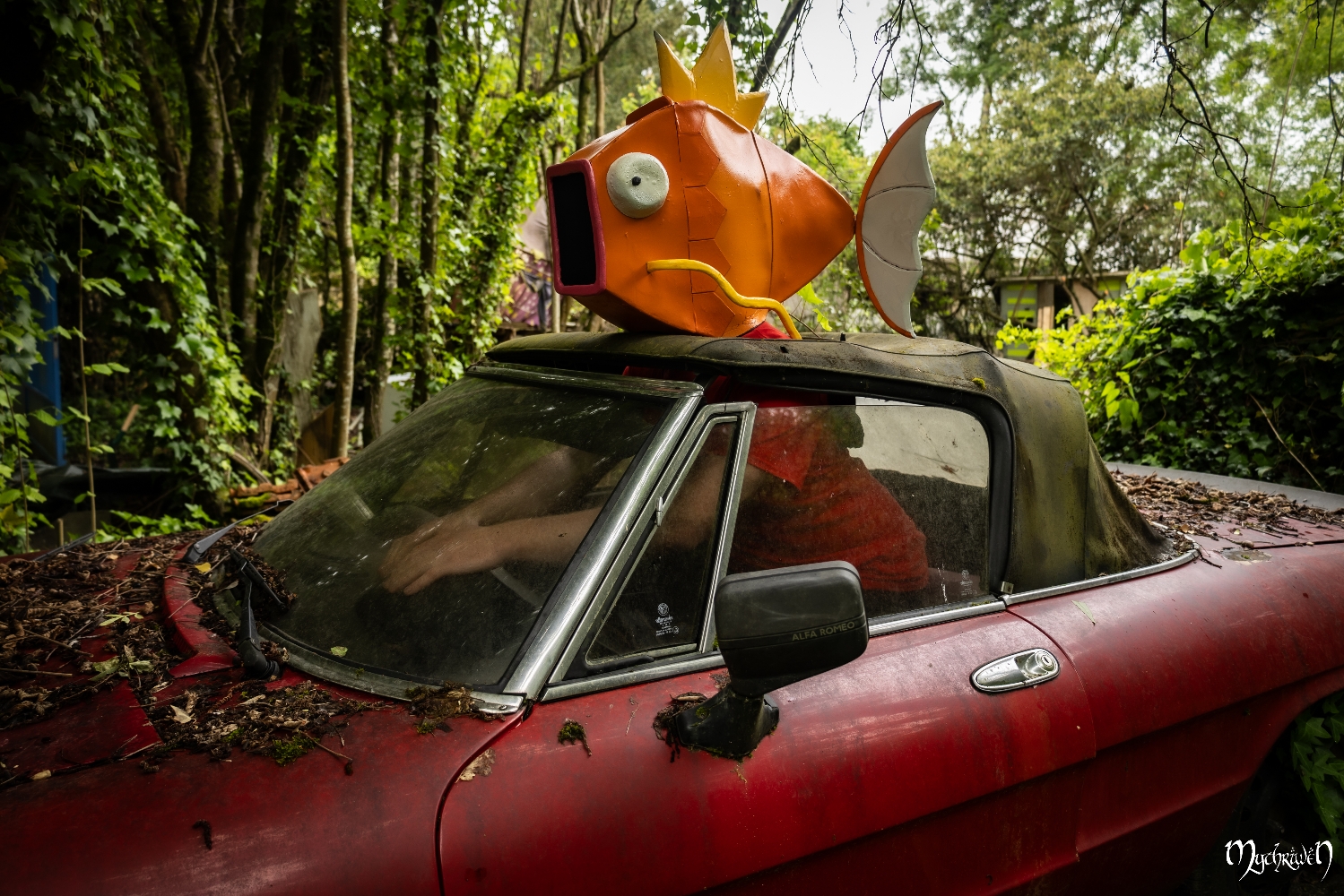 En voiture magicarpe