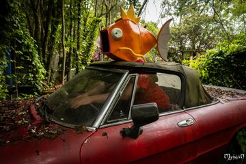 En voiture magicarpe preview 2