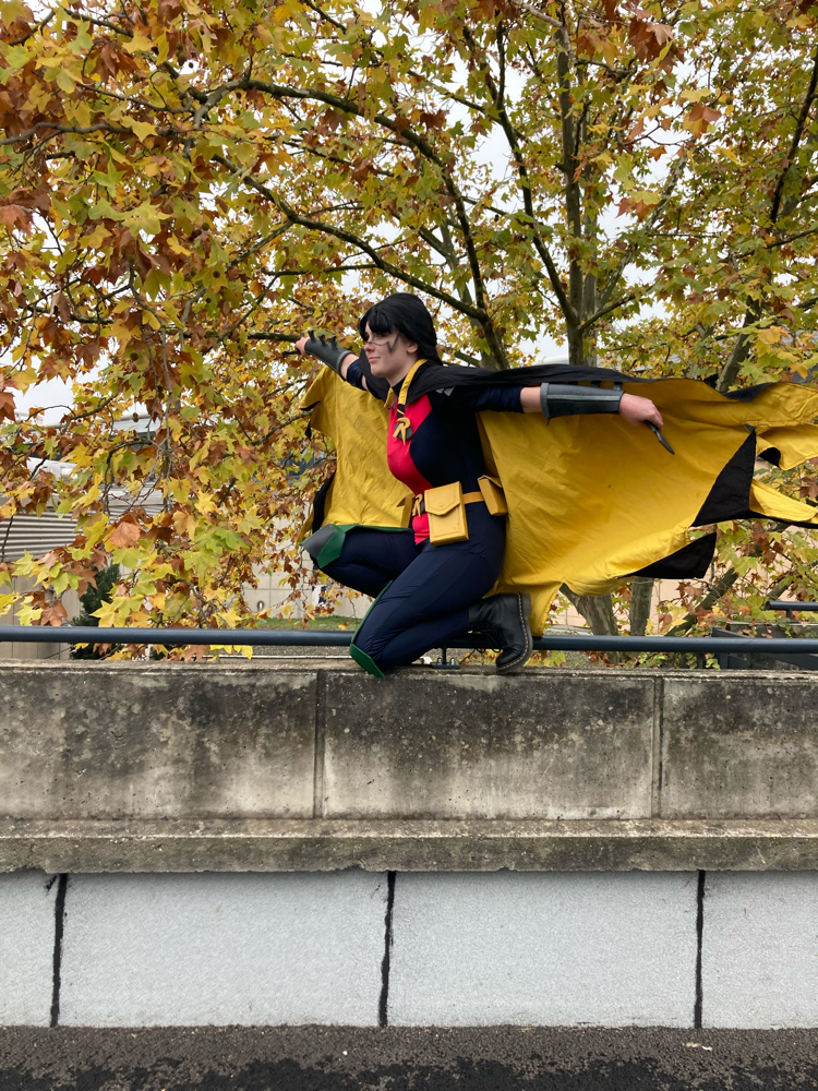 Robin 3 — photo 5