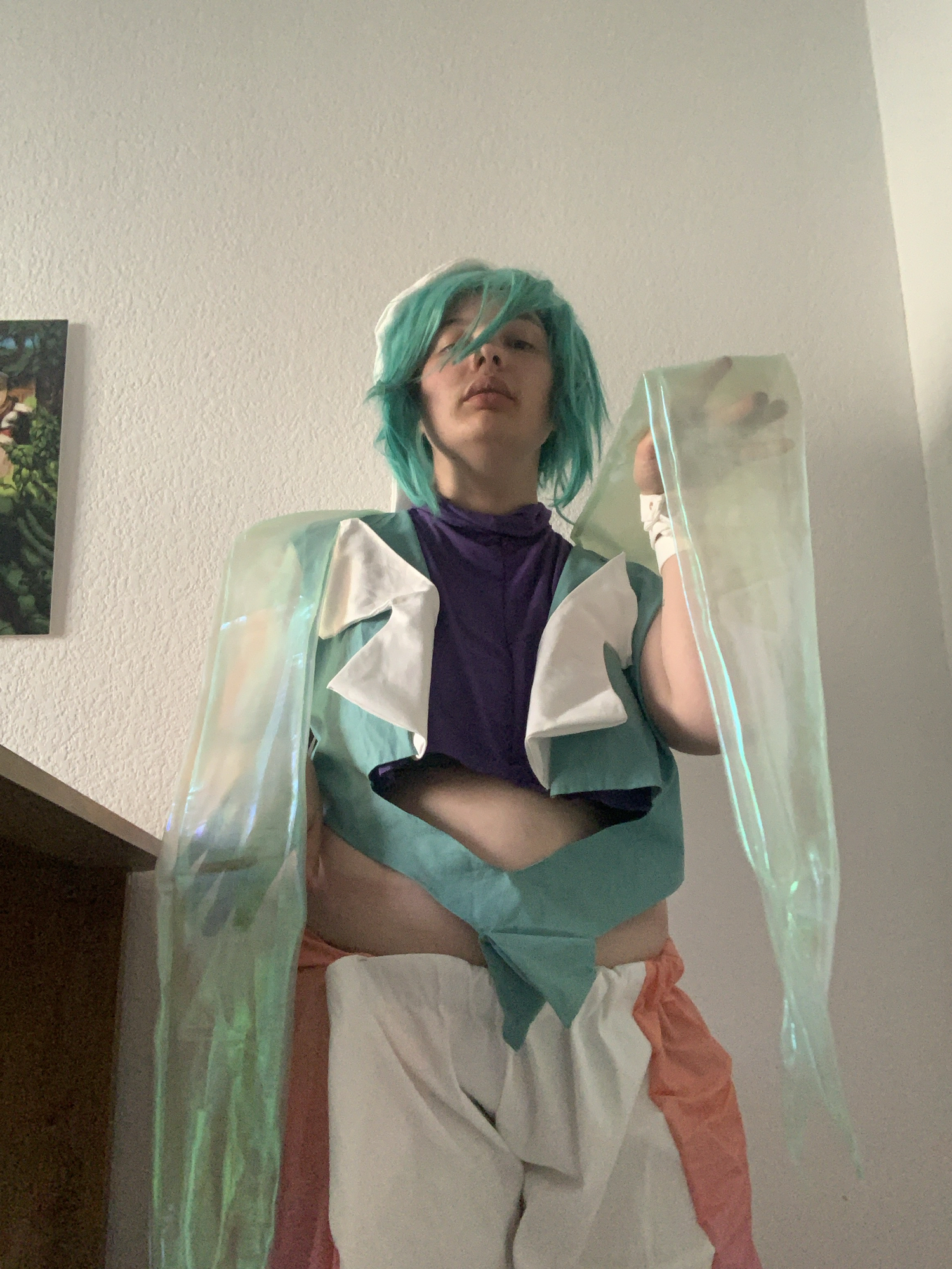 Wallace Pokémon ROSA