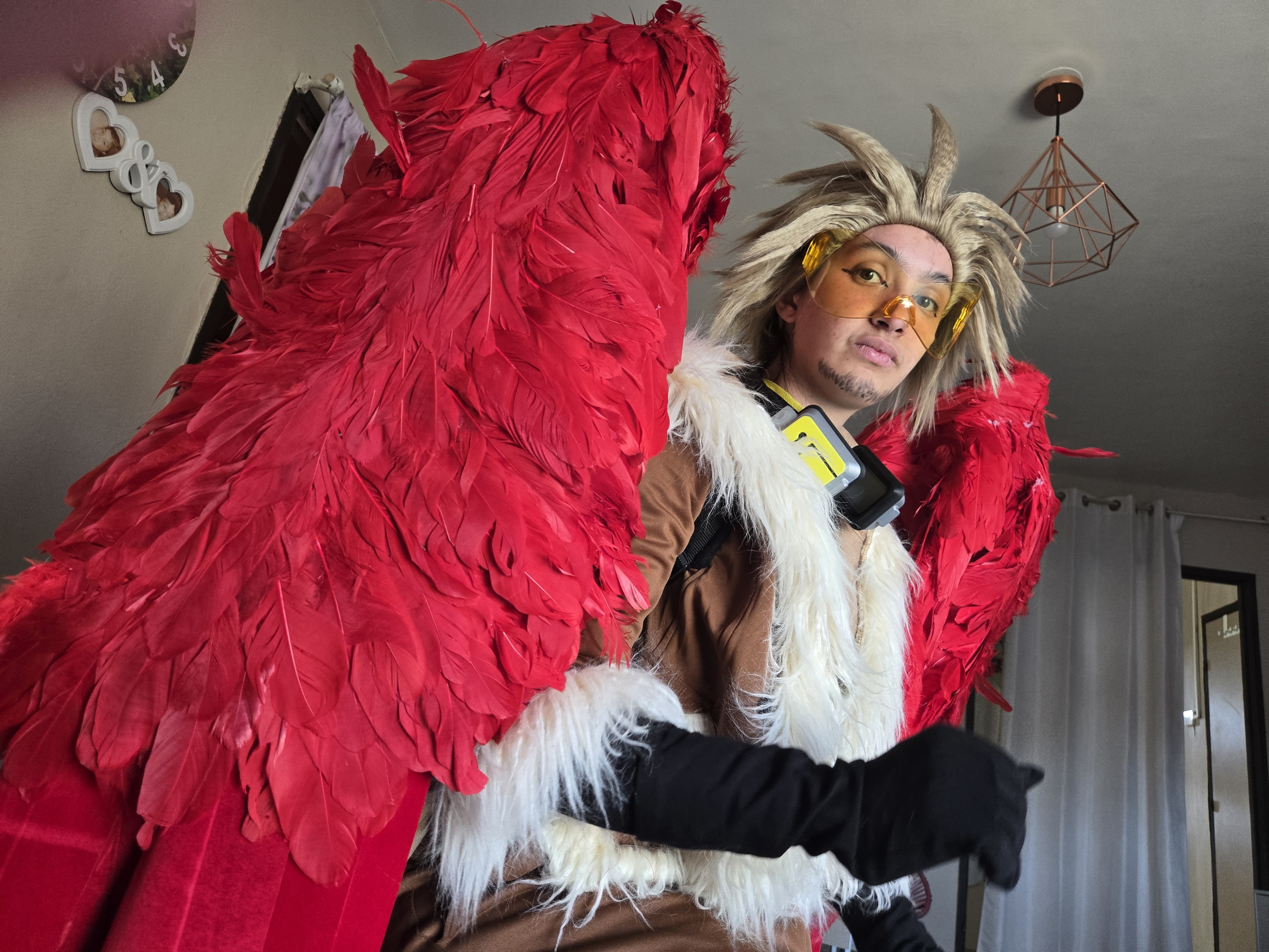 Hawks — photo 100