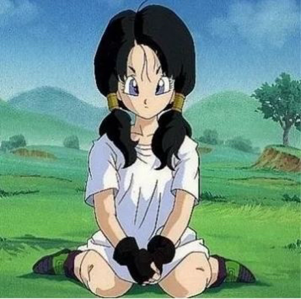 Videl 