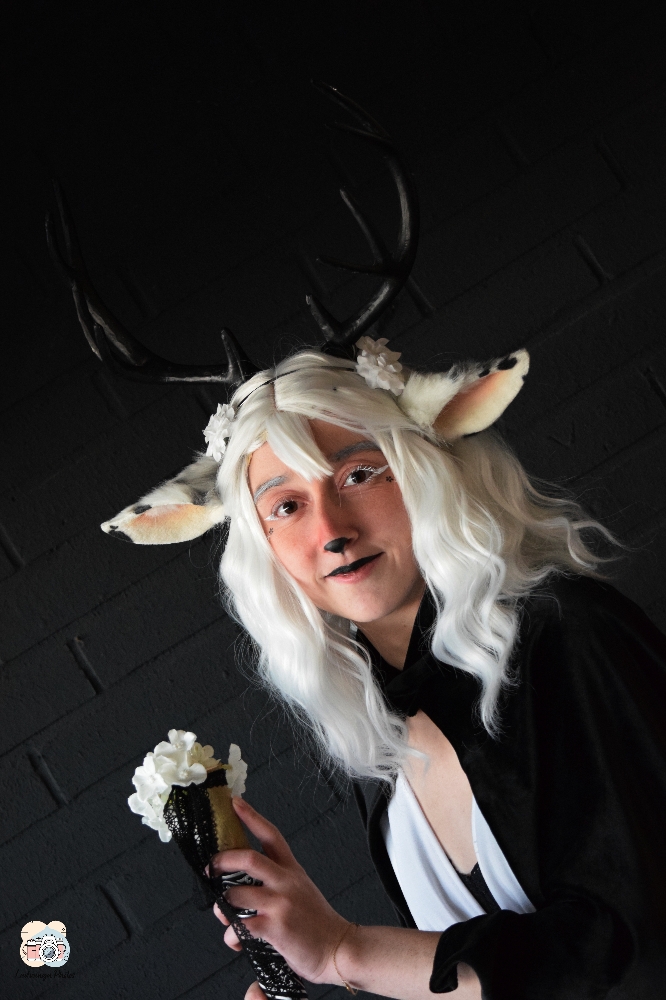 Faune noir et blanc - Photo 4