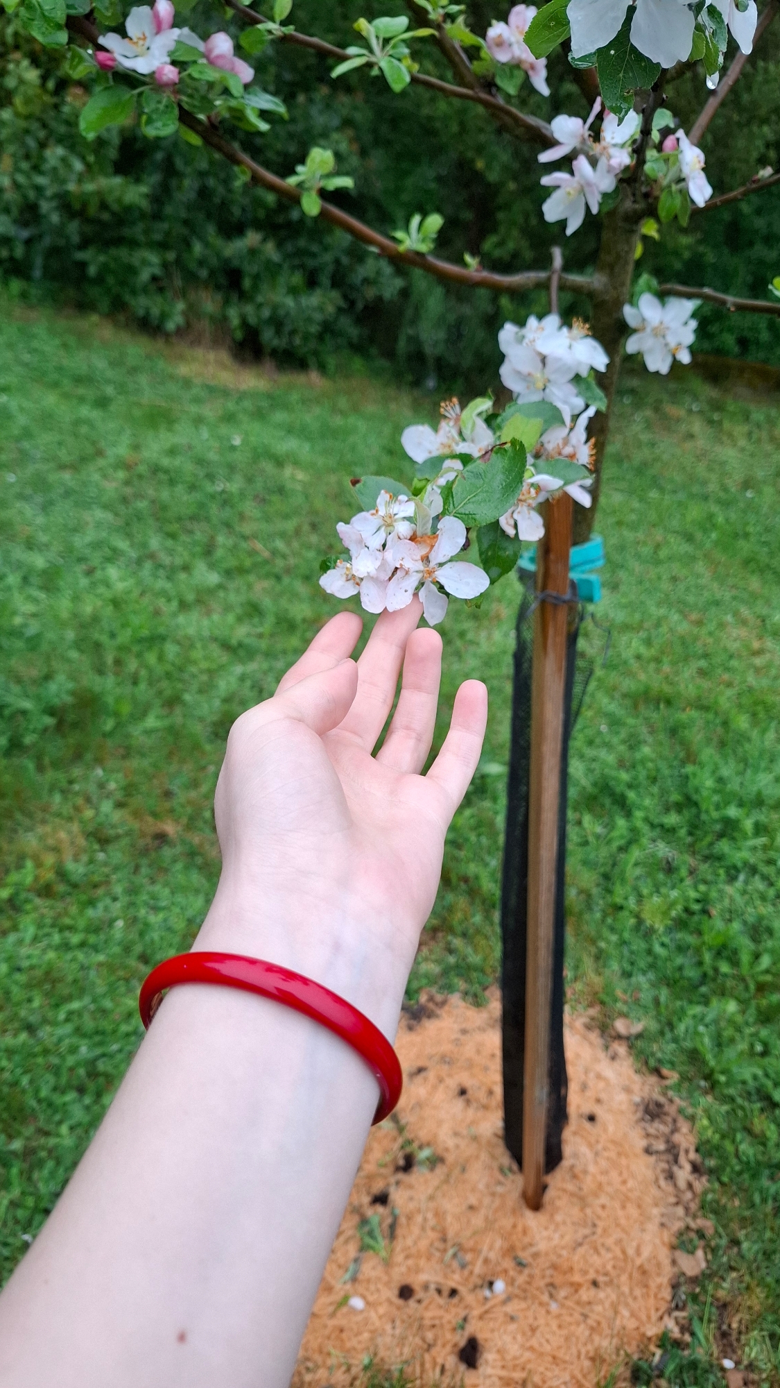 Shooting Rin - 1 — photo 10