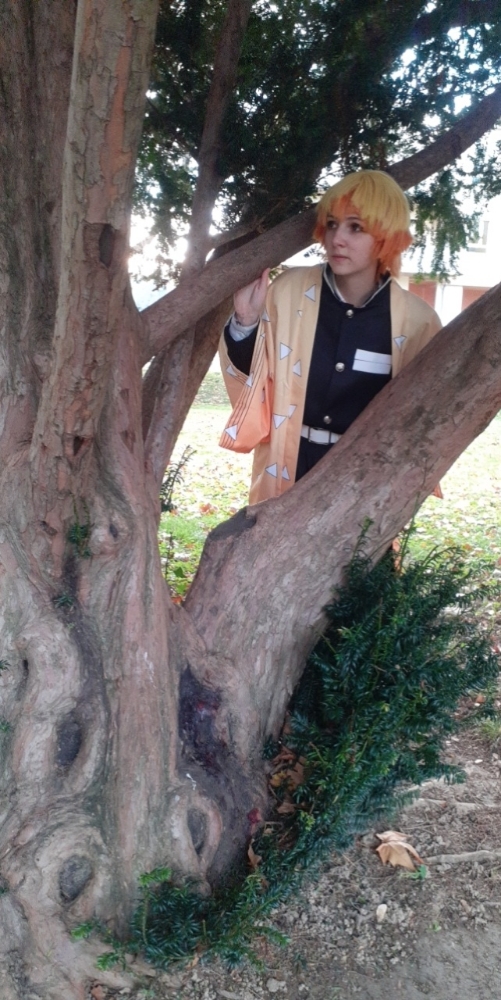 Zenitsu Agatsuma  - Photo 8