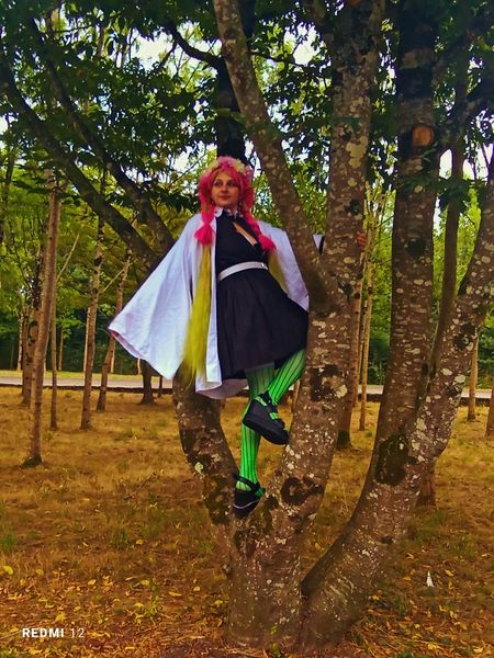 Naraku - Mitsuri KANROJI