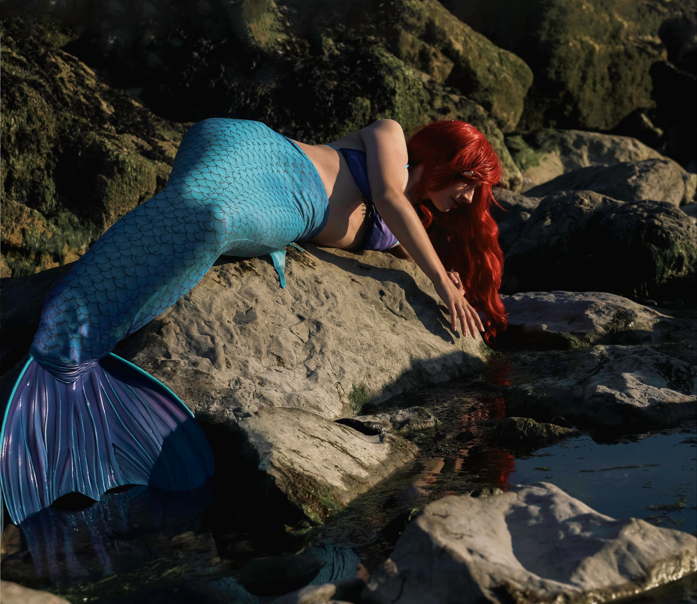 Ariel — photo 6