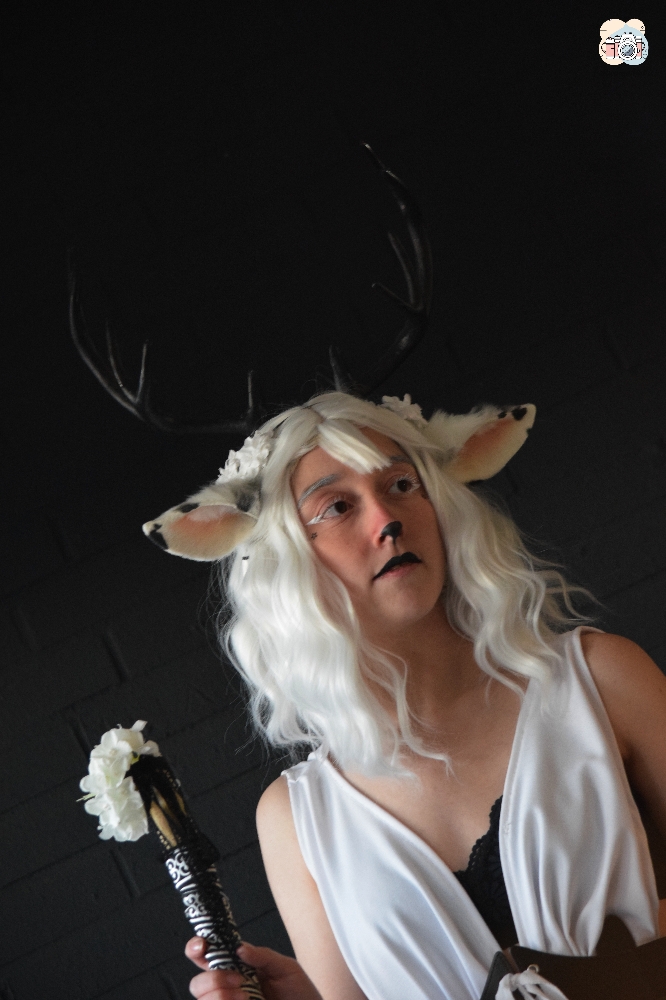 Faune noir et blanc - Photo 9