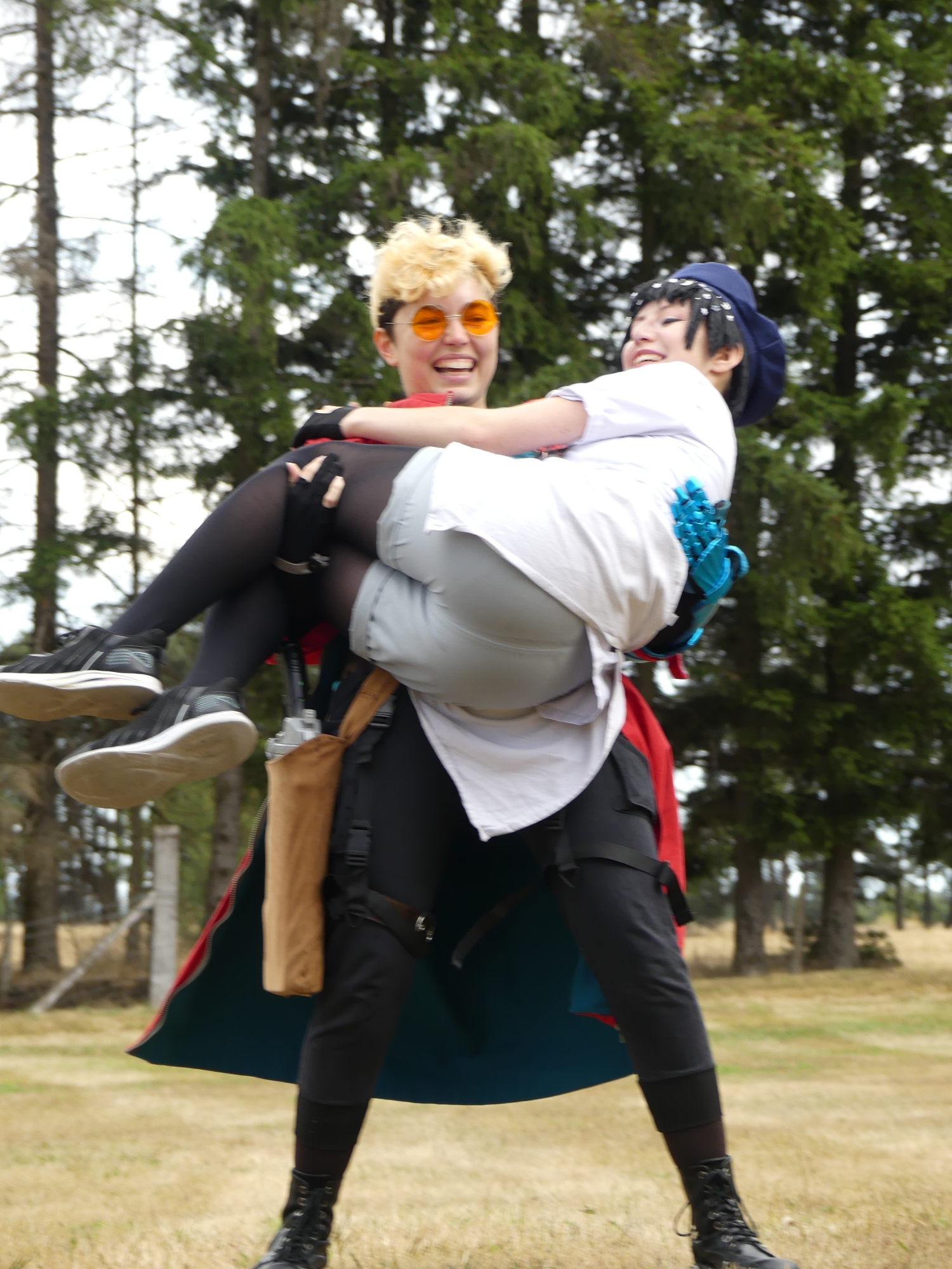 Gevaudan pop culture - Photo 7