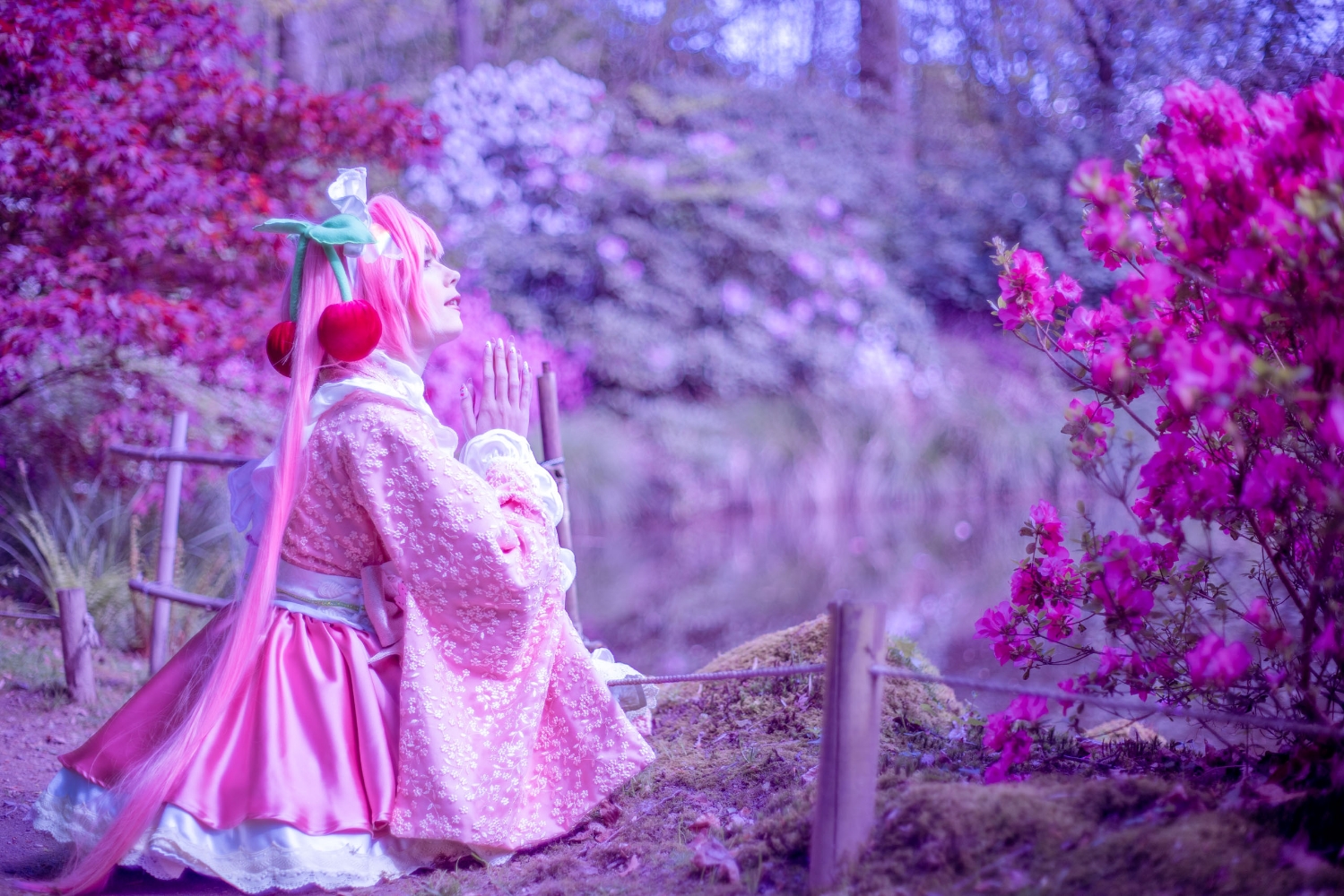 Sakura Miku -Hanami- - Photo 8