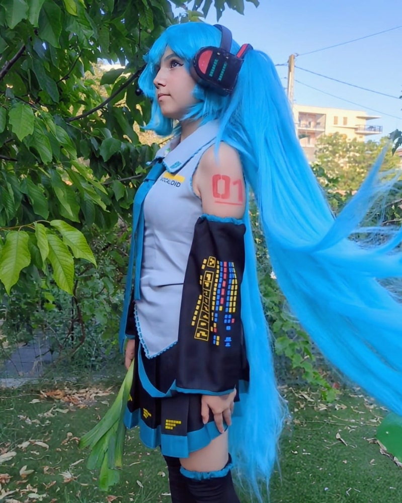 Hatsune Miku 6/25 - Photo 10