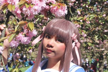 Tohru Honda preview 2