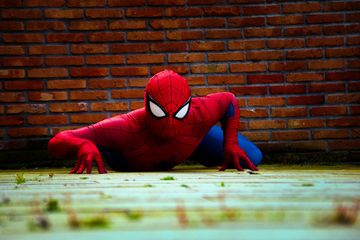 Spidey & Capt Marvel preview 3