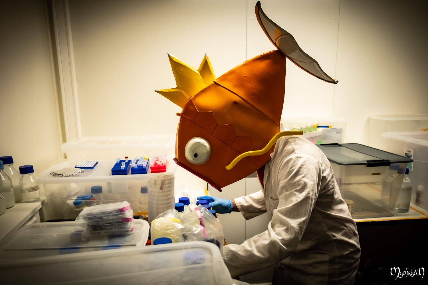 Professor Magicarpe  - Photo 12