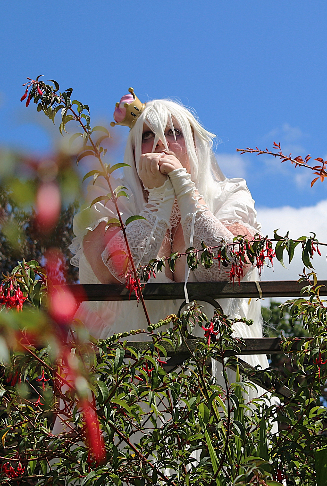 Booette — photo 5