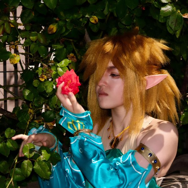 Hunter09 - Link gerudo