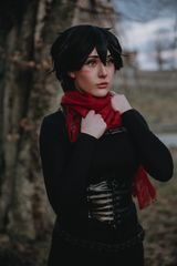 Mikasa e su casa preview 2