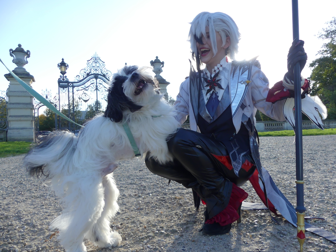 Arlecchino  - Photo 9