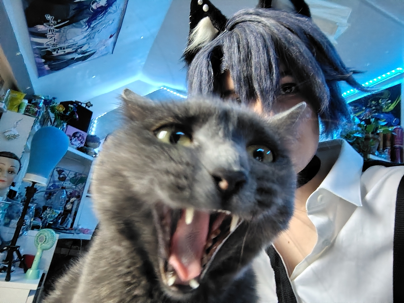 Kazui Mukuhara  - Photo 5