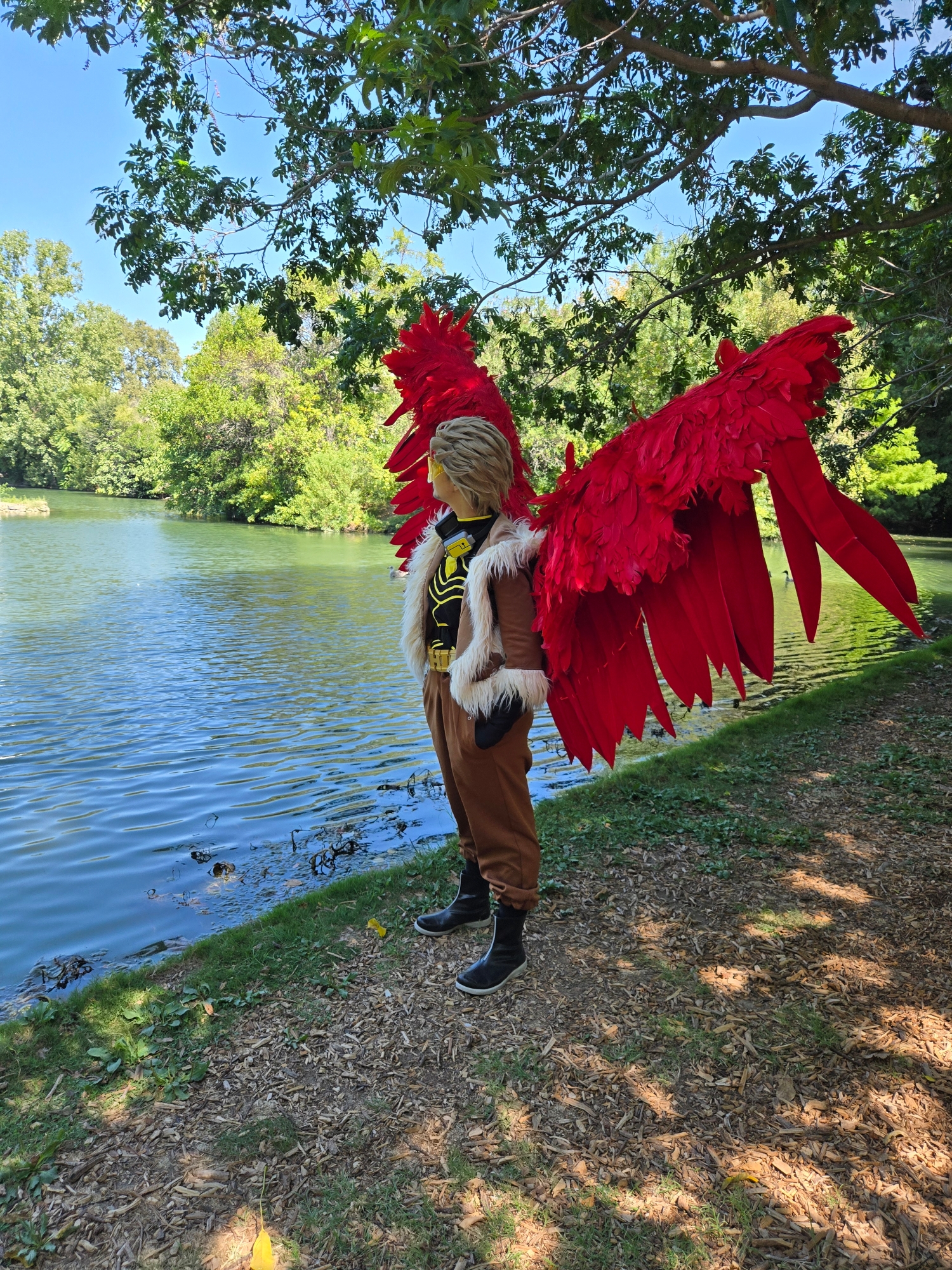 Hawks, photo 291