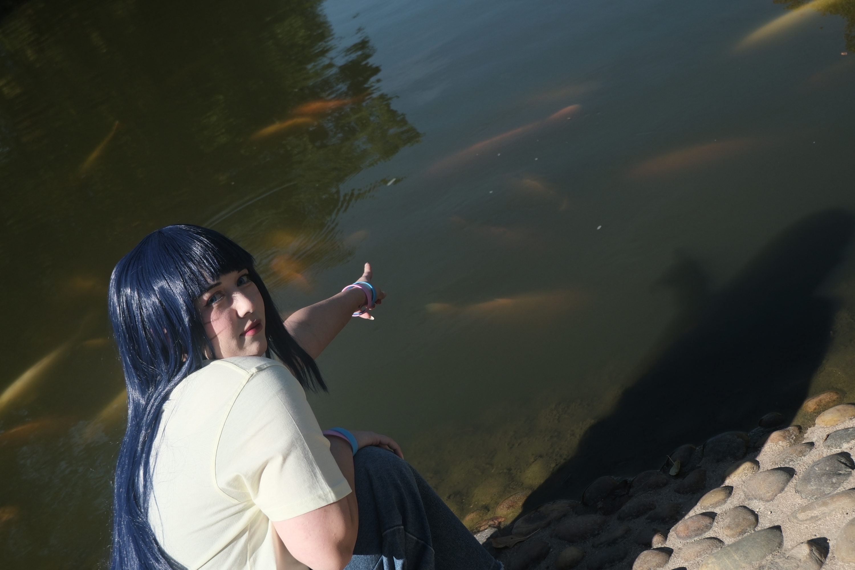 Himawari  - Photo 12