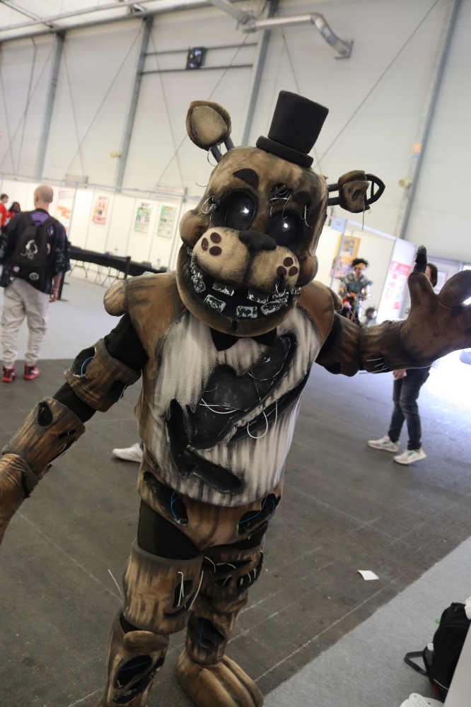 Freddy — photo 16