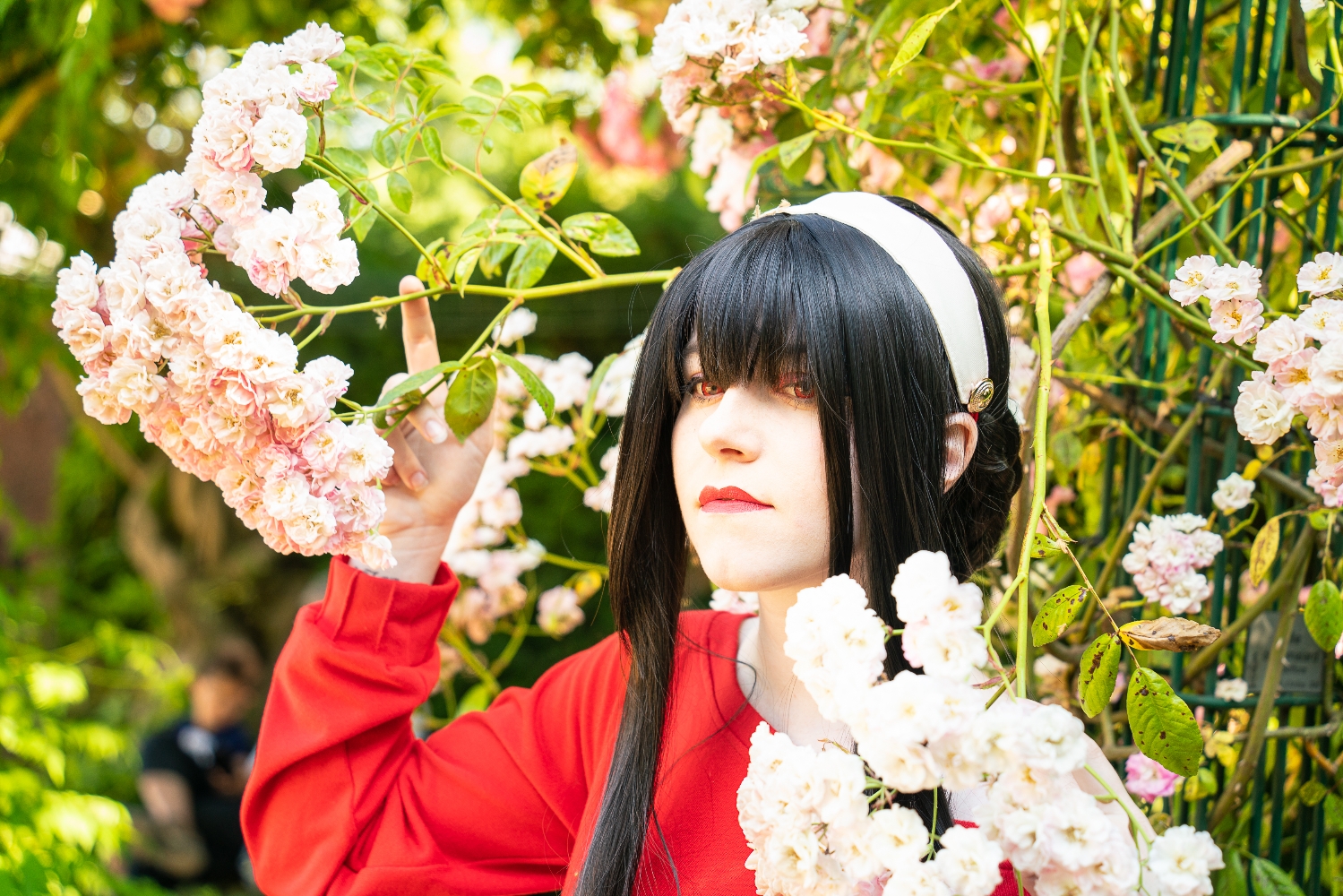 Yor Forger  - Photo 5