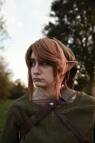 Link
