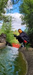 Tobi preview 3